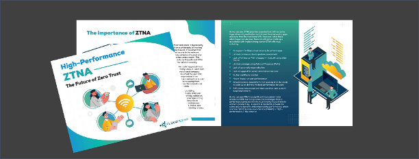 CxO guide to ZTNA