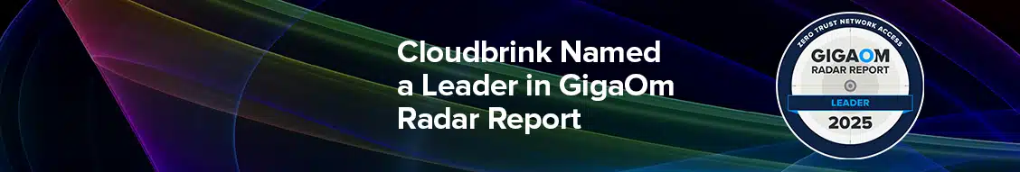 GigaOm ZTNA radar report leader