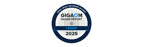 Gigaomn And Ztna